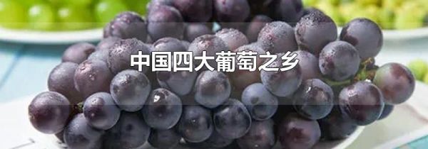 中国四大葡萄之乡