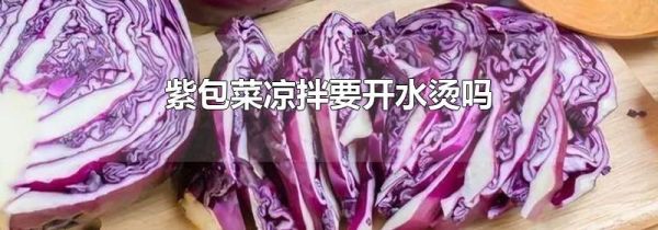 紫包菜凉拌要开水烫吗