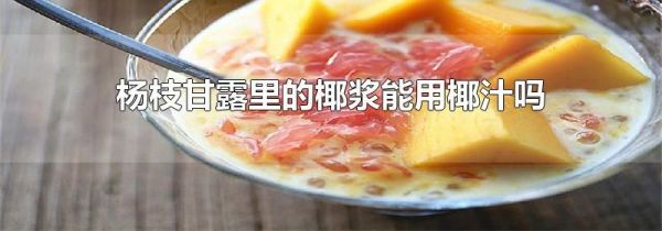 杨枝甘露里的椰浆能用椰汁吗