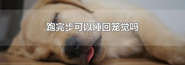 跑完步可以睡回笼觉吗