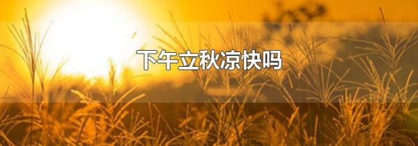 下午立秋凉快吗