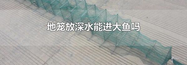 地笼放深水能进大鱼吗