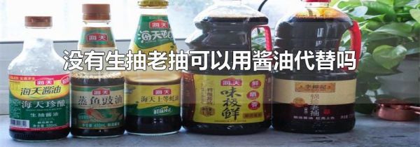 没有生抽老抽可以用酱油代替吗