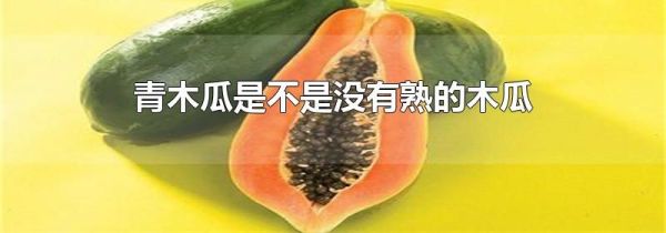 青木瓜是不是没有熟的木瓜