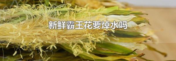 新鲜霸王花要焯水吗