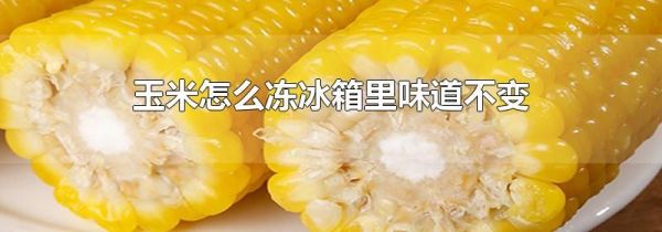 玉米怎么冻冰箱里味道不变