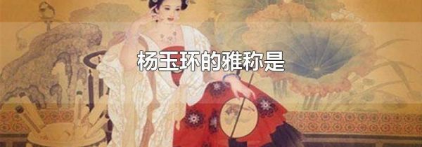 杨玉环的雅称是