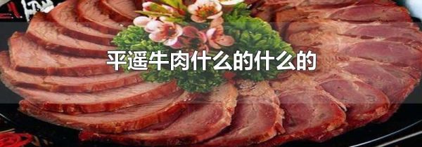 平遥牛肉什么的什么的