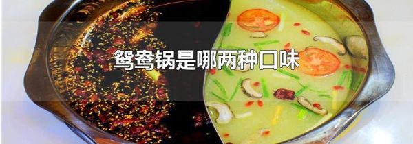鸳鸯锅是哪两种口味
