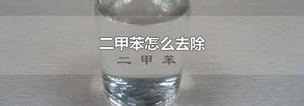 二甲苯怎么去除