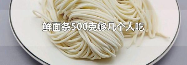 鲜面条500克够几个人吃