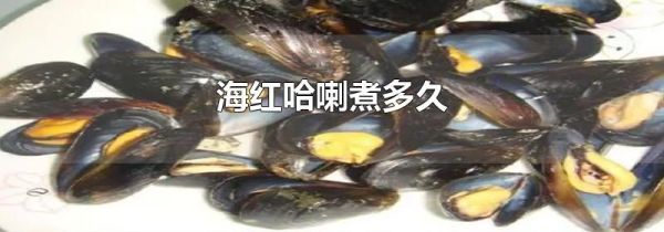 海红哈喇煮多久