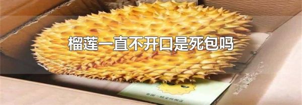 榴莲一直不开口是死包吗