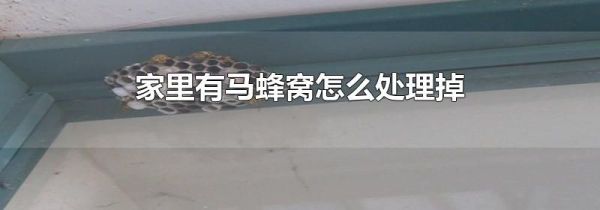 家里有马蜂窝怎么处理掉