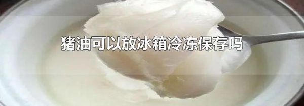 猪油可以放冰箱冷冻保存吗