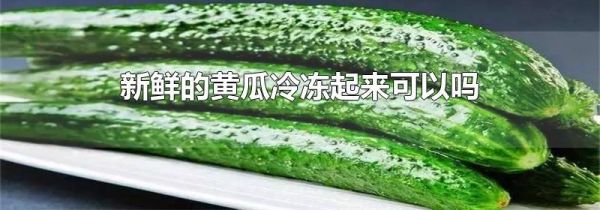 新鲜的黄瓜冷冻起来可以吗