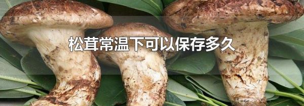松茸常温下可以保存多久