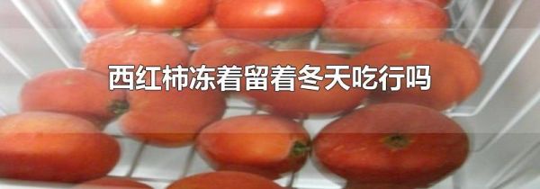 西红柿冻着留着冬天吃行吗