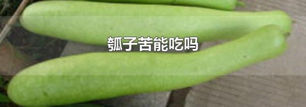 瓠子苦能吃吗