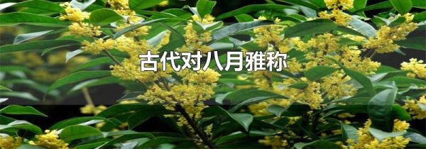 古代对八月雅称