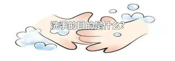 洗手的目的是什么?