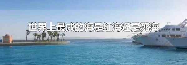 世界上最咸的海是红海还是死海