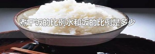 煮干饭的比例水和饭的比例是多少