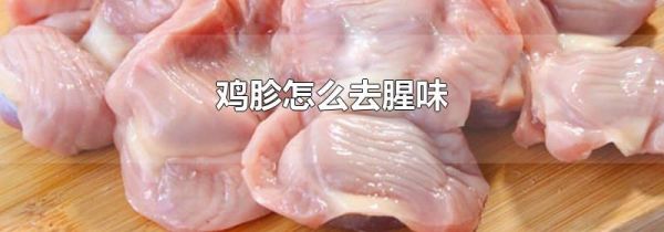 鸡胗怎么去腥味