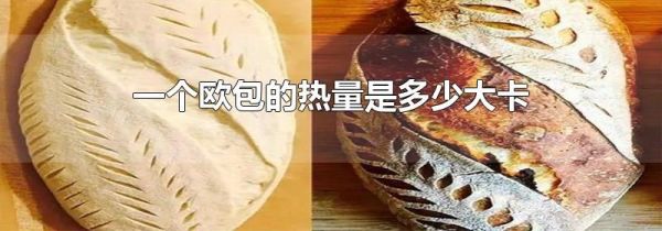 一个欧包的热量是多少大卡