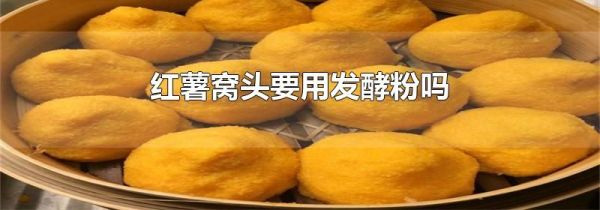红薯窝头要用发酵粉吗
