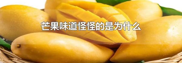 芒果味道怪怪的是为什么