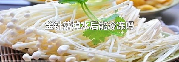 金针菇焯水后能冷冻吗