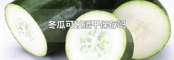 冬瓜可以晒干保存吗