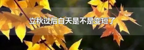 立秋过后白天是不是变短了