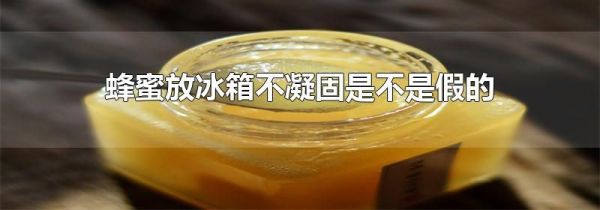 蜂蜜放冰箱不凝固是不是假的