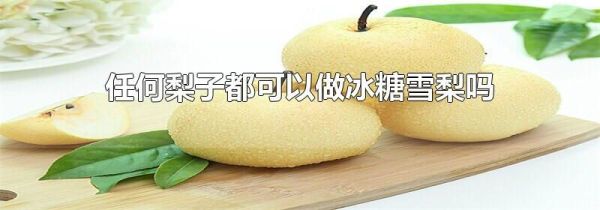 任何梨子都可以做冰糖雪梨吗