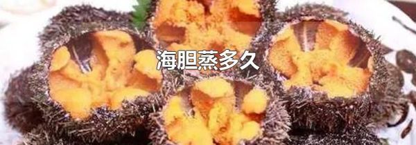 海胆蒸多久