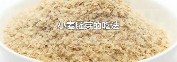 小麦胚芽的吃法