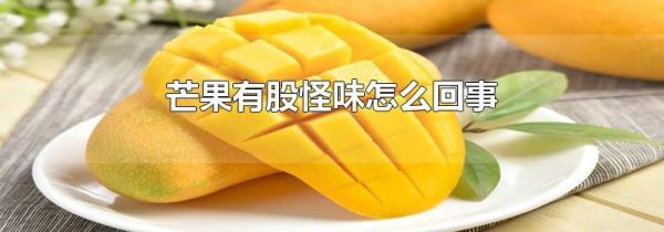 芒果有股怪味怎么回事
