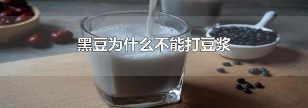 黑豆为什么不能打豆浆