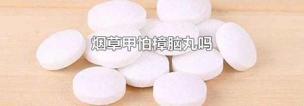 烟草甲怕樟脑丸吗