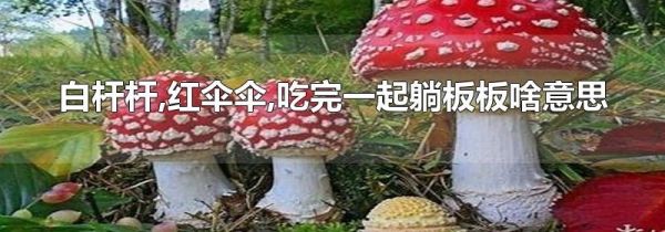白杆杆,红伞伞,吃完一起躺板板啥意思
