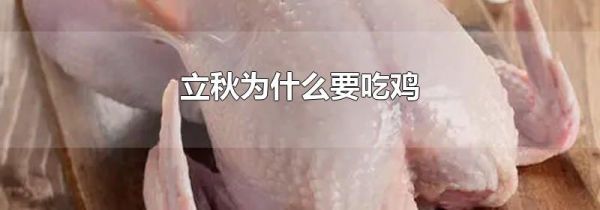 立秋为什么要吃鸡