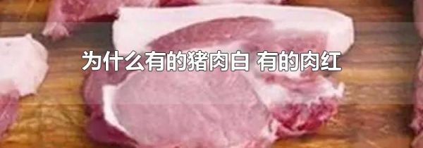 为什么有的猪肉白 有的肉红