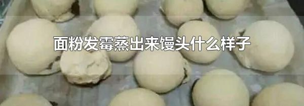 面粉发霉蒸出来馒头什么样子