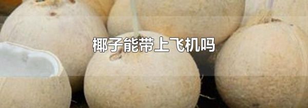 椰子能带上飞机吗