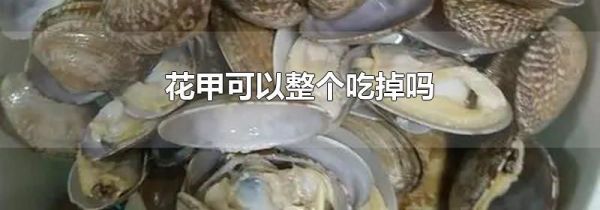花甲可以整个吃掉吗