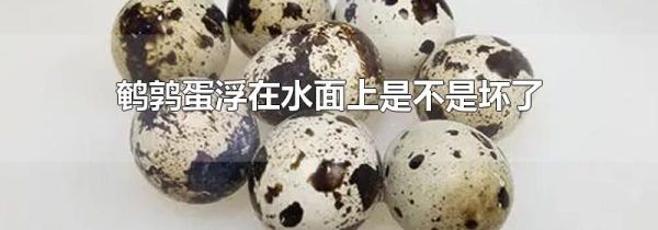 鹌鹑蛋浮在水面上是不是坏了