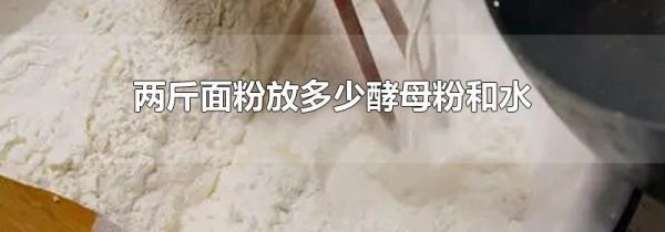 两斤面粉放多少酵母粉和水