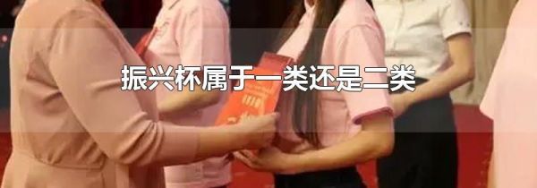 振兴杯属于一类还是二类